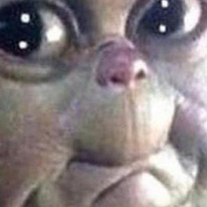 Meet your Posher, Alan